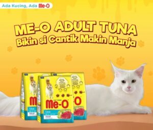 Perlengkapan kucing untuk pemula