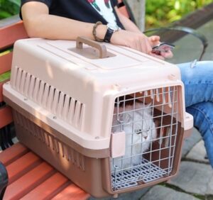 Pawsitives pet cargo untuk cat