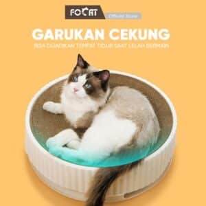 garukan focat